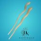 Haarnadel/Haarstab 2er Set